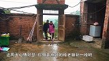 包立春嘴馋，桃子姐做一锅饺子，包立春一人吃40个，真解馋