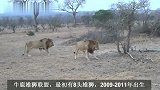 牛鹿雄狮联盟：巅峰期击败北马雄狮联盟，最终仍逃不过老去的定律