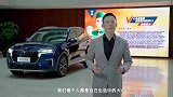 东风启辰马总视频