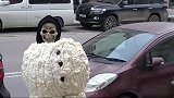 国外恶搞，路人按放雪人掉在地上的头，从雪人身体里弹出个鬼脸