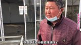 精品双血统金毛，盘了一只，3个月大疫苗齐全