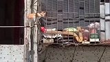 不要看这只是一只小猫，但攀岩的功夫真不浅！