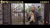 《忠犬八公》曝终极预告 一人一犬一生感动全球数亿人