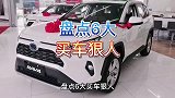 盘点6大买车狠人