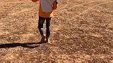 高原蹦个养生迪！