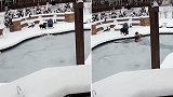美国：田纳西州一女子跳入冰冻泳池，打破冰层救落水爱犬
