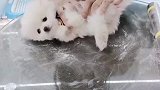 给我的小可爱按摩一下
