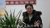 大美朱楼，大衣哥名人效应，朱之文乡村大舞台行将启动
