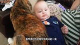 小主人出生后，猫咪是操碎了心，看完还想养猫吗？