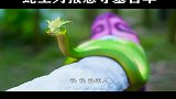 好人有好报，无意间救的灵蛇竟是蛇王，蛇王为报恩守护她百年