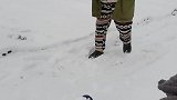 农村搞笑段子…这次这雪够我吃到过年了