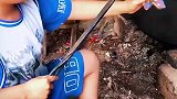 小男孩用火钳补鞋勾起网友回忆