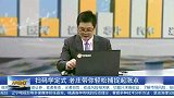 周期板块调整不用怕，用定式捕捉起涨点