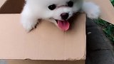 公园发现一只小可爱