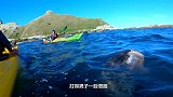 “黑影”冲破水浪追逐，男子定睛一看，原来是这玩意儿！