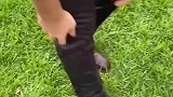 不掀开裤腿，你永远猜不到已婚男人的袜子是啥样