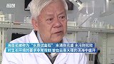 上海交大老教授在校园内建造了一个微型洱海，海菜花在这盛开