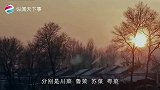 中国的八大菜系中，为什么偏偏没有东北菜呢网友吐槽没有档次