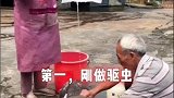 汪星人关注我，每天更新养犬知识