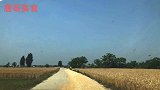 滁州凤阳乡村土菜馆，吃特色鱼煮饭4个人喝三斤白酒过瘾！