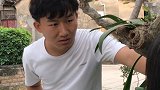 竟然现在才发现，我早就发现了