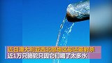 澳大利亚将射杀1万只骆驼：它们喝了太多水