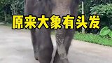要是换在我那个年代，最少是个贵族