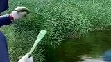男子站在湿地前画油画，成品好似照片