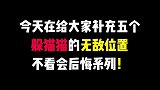 再给大家补充五个躲猫猫的无敌位置，简直太无敌了！
