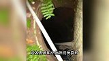 12岁男孩掉小区窨井遇难，家属：距物业中心仅5米，长期没盖盖