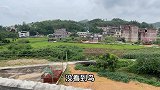 放生第10天，小麻雀听到主人吹口哨马上飞回来