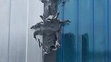 这是什么神奇物种