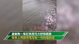 武汉江边捡到漂流瓶取出百元大钞和纸条 纸条内容让男子兴奋不已