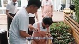 陈赫钟爱的佛跳墙有多难制作看到原材料，难怪凡人吃不起啊