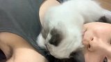 猫咪太腻人了，好烦啊