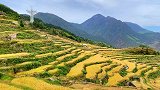 期待已久的云和梯田，终于有机会来了