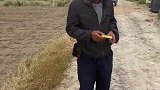 看到大爷香烟的档次，公司我都不想开了
