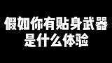 有一个这样的贴身武器喜欢哪个