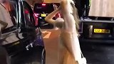 黄色长裙的小姐姐身材颜值都很好，你喜欢吗