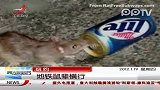 实拍纽约地铁内老鼠猖獗 乘客睡觉被骚扰