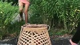 表妹大姨你做的菜真好吃