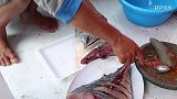 钓鱼-《鲨鱼星球》印度尼西亚篇：钓友合力海钓大型GT（下）-专题