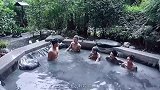 黄鳝一族个个都是讲究人，名字都如此有内涵，笑岔气了