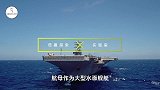 航母螺旋桨有多可怕？看看这些海洋生物的下场，你就明白了