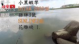 前打钓鱼，诱钓结合，黑鲷鱼乌鱼不停上钩