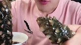狂吃毛毛虫海参海鲜