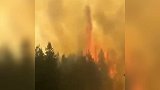 阿根廷多省发生森林大火 火势尚未得到有效控制