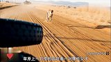 13岁男孩穿越非洲大草原！只为放生亲手养大的猎豹，冒险温情片
