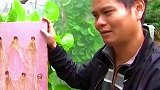 农民大叔发明“空气种菜法”，不用土和水，收成是传统种植的6倍