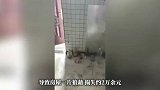 租客搬离时拆走门窗灯具卖废品，还称“室内物品想拆就拆”，房东：这是有多穷